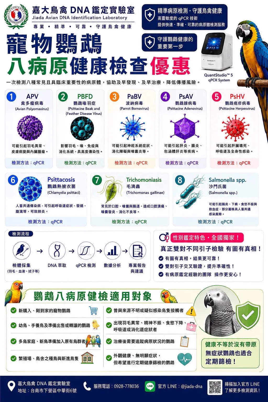 寵物鸚鵡八病原健康檢查